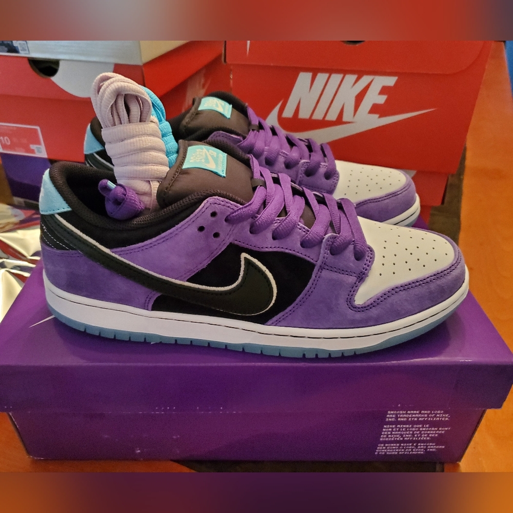 SOLD Nike SB Dunk Low Hayley Wilson Men's Size 10.5 Brand New.